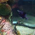 DSC00700