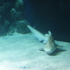 DSC00715
