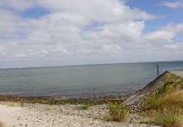DSC00726