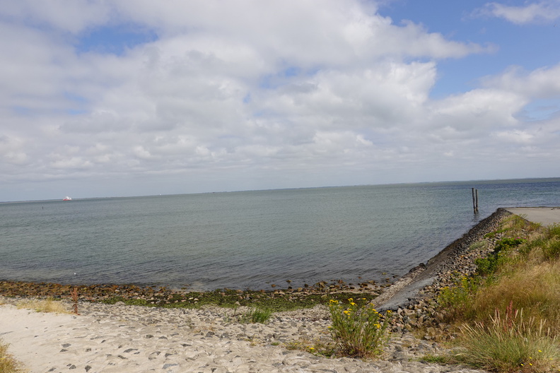 DSC00726.jpg
