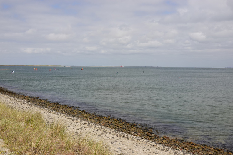 DSC00732.jpg