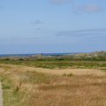 DSC00741