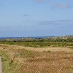 DSC00741