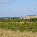 DSC00742