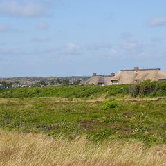 DSC00742