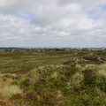 DSC00767