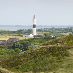 DSC00769