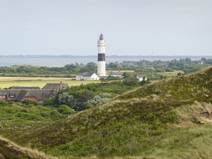 DSC00769