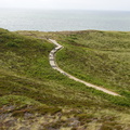 DSC00771