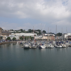 DSC00113 1