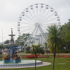DSC00140 1