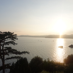 DSC00147 1