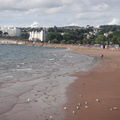 DSC00154 1