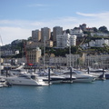 DSC00175 1