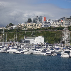 DSC00180 1