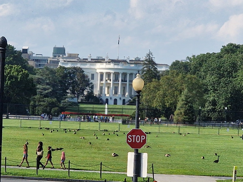 20230809_173347.jpg