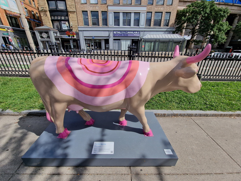 20230814_152404.jpg