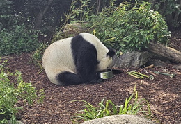 Tiergarten Schönbrunn