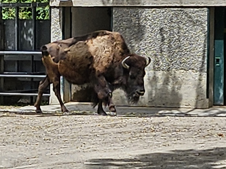 20240621_133617.jpg