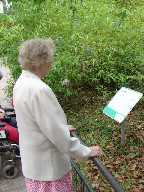 DSC00294