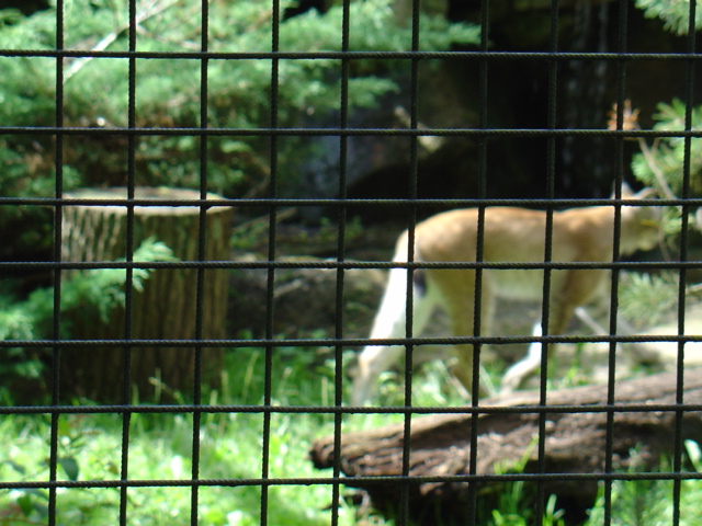 DSC00304