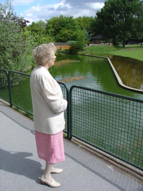 DSC00317