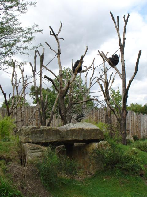DSC00340