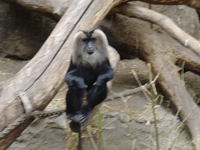 DSC00361