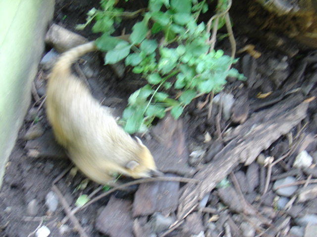 DSC00380
