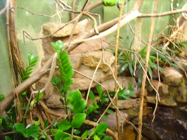 DSC00381