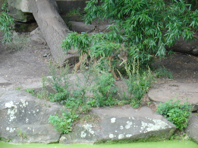 DSC00389