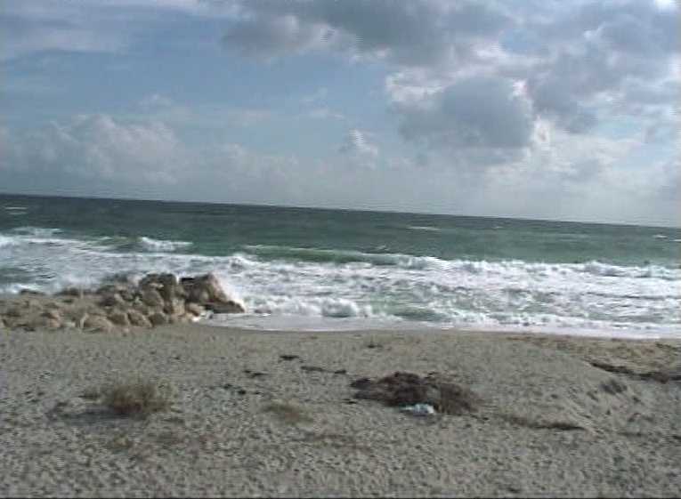 florida105