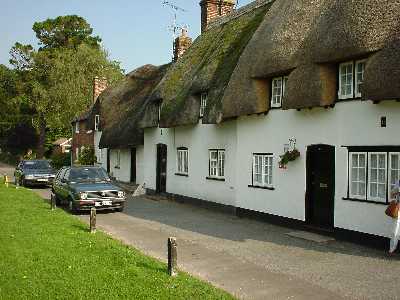 Thatched Houses