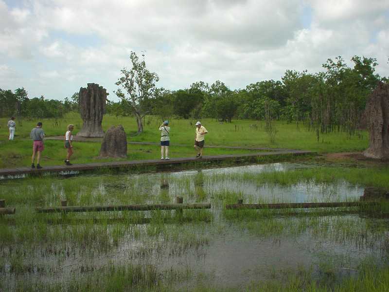 Dsc00331