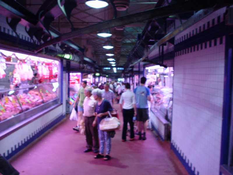 Dsc00516