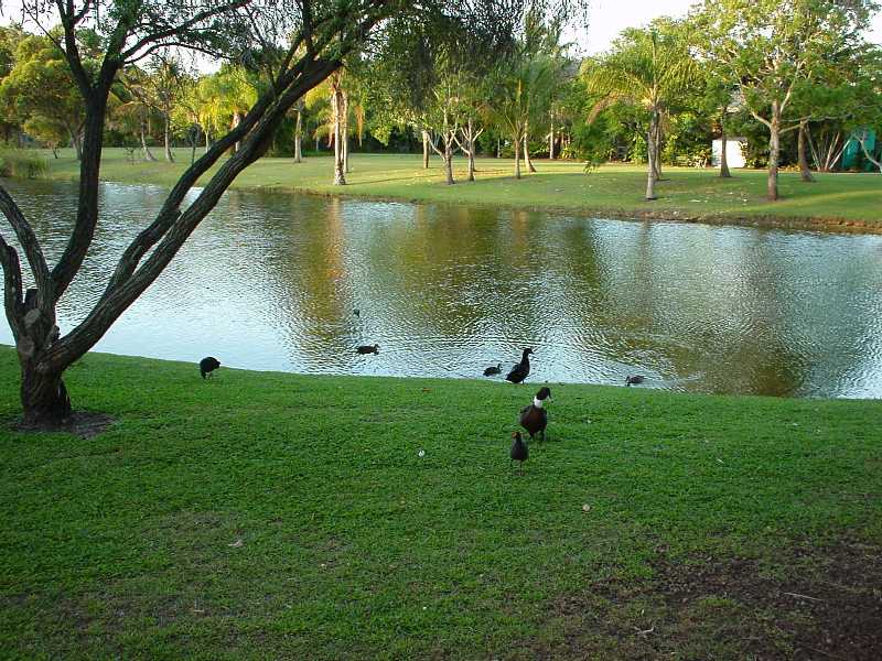 DSC00066