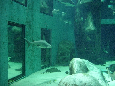 aquarium2.jpg