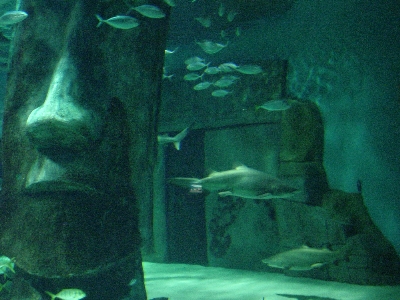 aquarium3.jpg