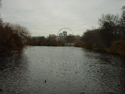 St. James's Park