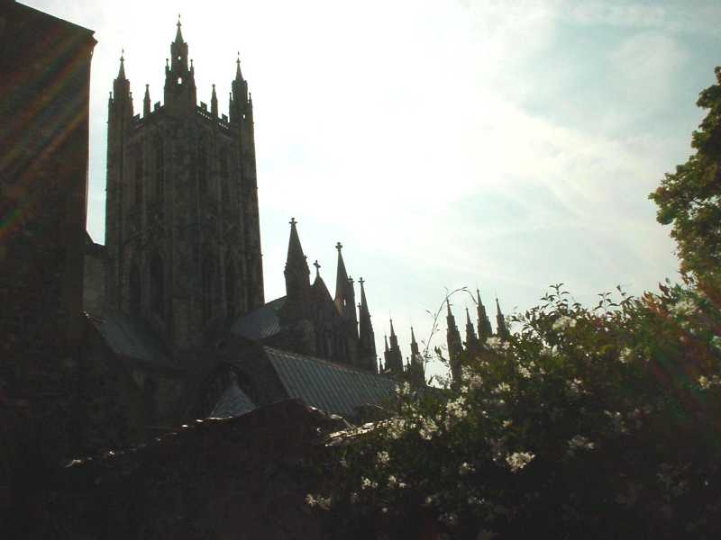 DSC00174