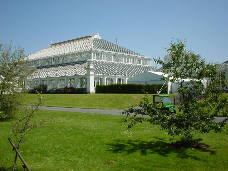 DSC00010