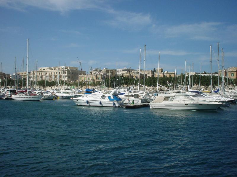 DSC00204