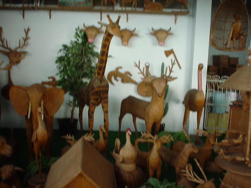 DSC00010