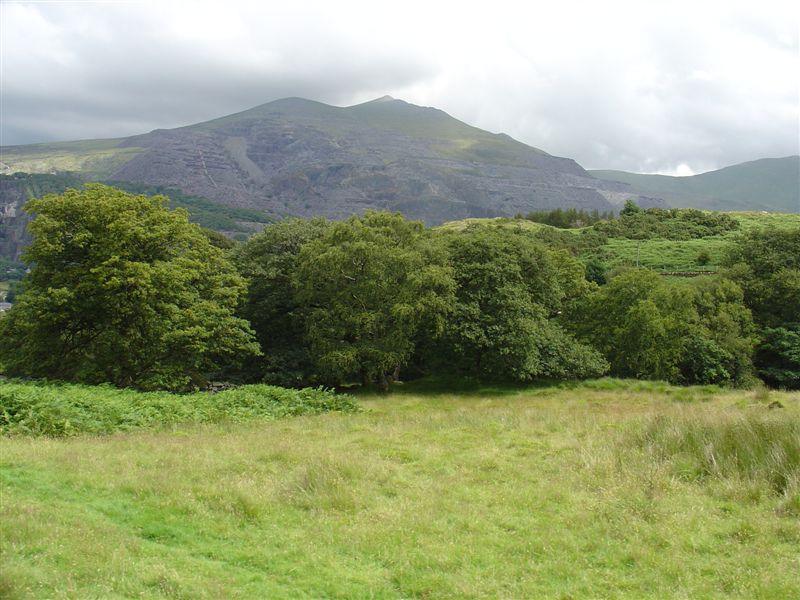 DSC02674