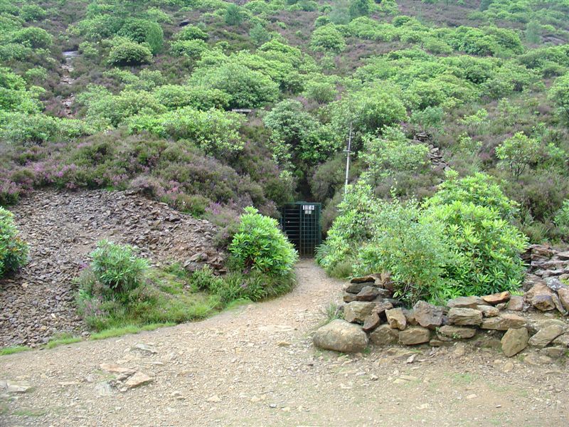 DSC02737
